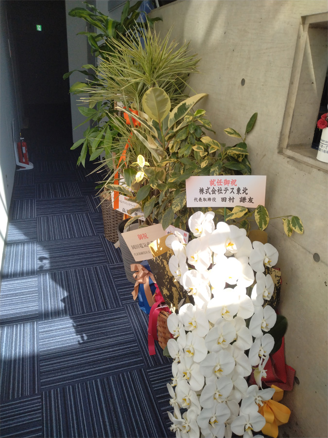 お祝いの花